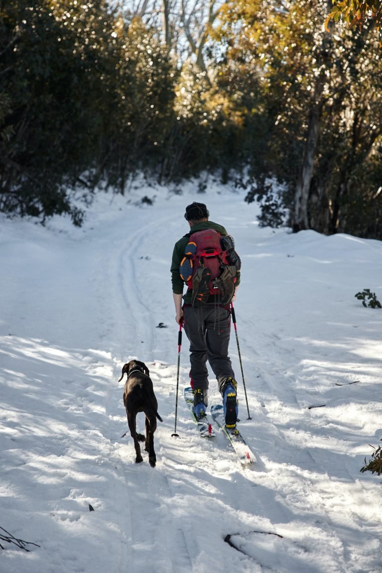 Essential Cross-Country Skiing Gear You Need for a Successful Trip